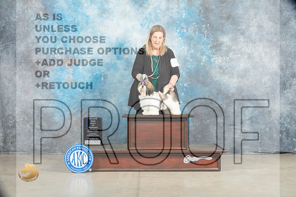 Shih Tzu #6 Sat BOW Judge Elizardo Valadez_MJ_1721_Midland2023_HR3