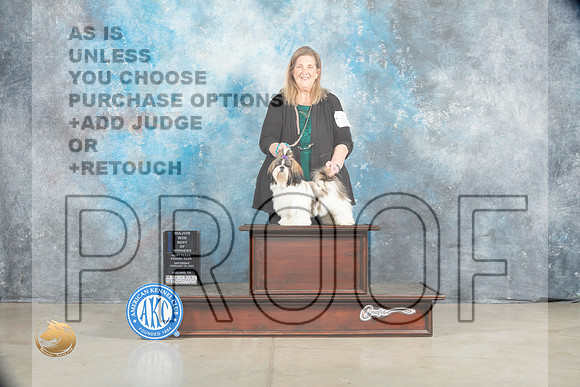 Shih Tzu #6 Sat BOW Judge Elizardo Valadez_MJ_1723_Midland2023_HR3