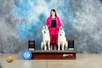 Siberian Husky #5 #6 BOB BOSWB Judge Elizabeth Muthard
