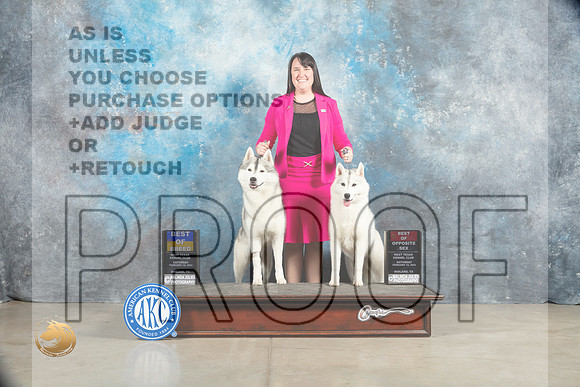 Siberian Husky #5 #6 BOB BOSWB Judge Elizabeth Muthard_MJ_1576_Midland2023_HR3