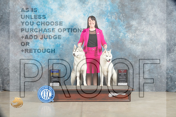 Siberian Husky #5 #6 BOB BOSWB Judge Elizabeth Muthard_MJ_1577_Midland2023_HR3