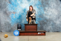 Yorkshire Terrier #30 Sat SB Judge Elizardo Valadez