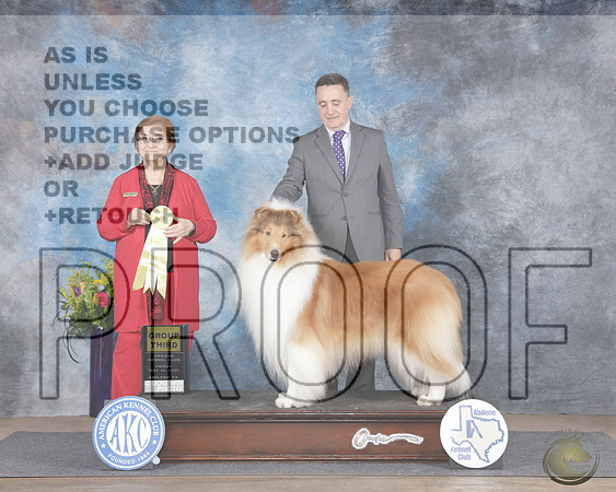 Collie Rough #5 Fri G3 Judge Nikki RiggsbeeCollie Rough #5 Fri G3 Judge Nikki Riggsbee_WP_4584e-Abilene 2025-HR3
