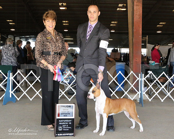 AmStaff-6978-LR