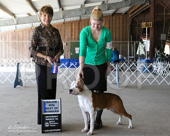AmStaff-7091-LR