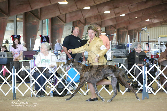 BISSat-9739-LR