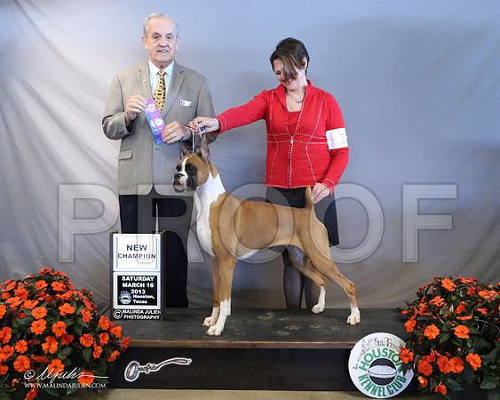 Boxer-7710-LR
