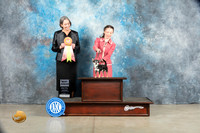 Chihuahua Smooth #J750 Sat BJr Judge Judy Wade
