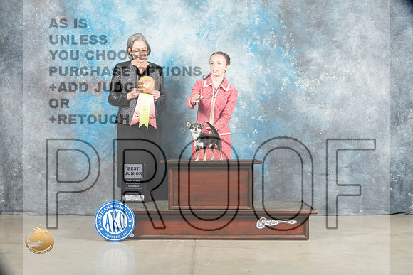 Chihuahua Smooth #J750 Sat BJr Judge Judy Wade_MJ_1801_Midland2023_HR3