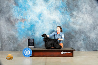 Cocker Spaniel Black #5 Sat BOB Judge Jon Cole