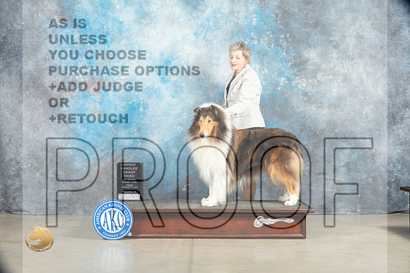 Collie Rough #7 Sat OHBOBG3 Judge Elizabeth Muthard_MJ_1833_Midland2023_HR3
