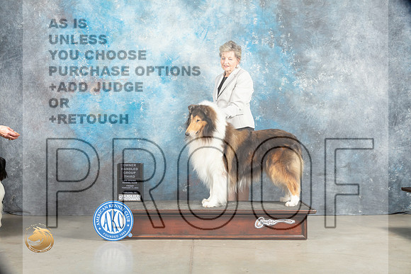Collie Rough #7 Sat OHBOBG3 Judge Elizabeth Muthard_MJ_1835_Midland2023_HR3