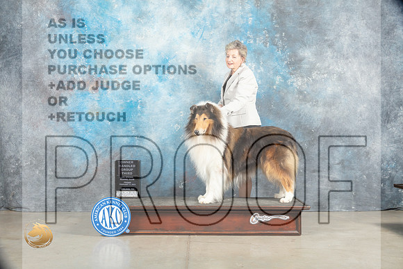 Collie Rough #7 Sat OHBOBG3 Judge Elizabeth Muthard_MJ_1834_Midland2023_HR3