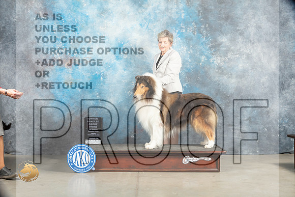 Collie Rough #7 Sat OHBOBG3 Judge Elizabeth Muthard_MJ_1836_Midland2023_HR3