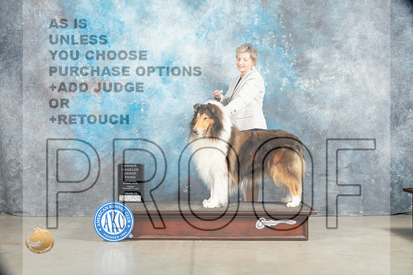 Collie Rough #7 Sat OHBOBG3 Judge Elizabeth Muthard_MJ_1837_Midland2023_HR3