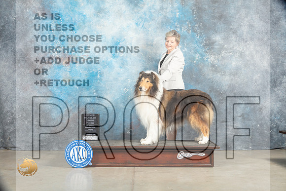 Collie Rough #7 Sat OHBOBG3 Judge Elizabeth Muthard_MJ_1841_Midland2023_HR3