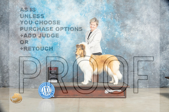 Collie Rough #8 Sat BOSWB Judge Judy Brown_MJ_1818_Midland2023_HR3