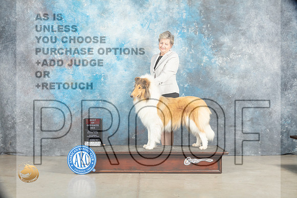 Collie Rough #8 Sat BOSWB Judge Judy Brown_MJ_1821_Midland2023_HR3