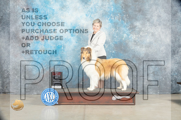 Collie Rough #8 Sat BOSWB Judge Judy Brown_MJ_1823_Midland2023_HR3
