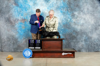 Dachshund Smooth #20 Sat WB Olvis Thurs WB Muthard