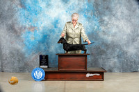 Dachshund Smooth #22 Fri WBM Judge Jon Cole