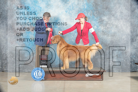 Golden Retriever #7 Sat G2 Judge Charles Olvis_MJ_1851_Midland2023_HR3