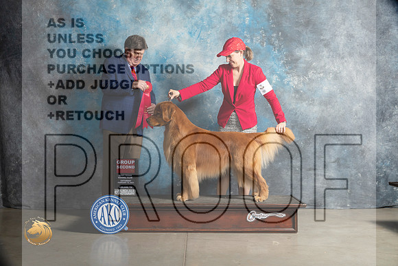 Golden Retriever #7 Sat G2 Judge Charles Olvis_MJ_1852_Midland2023_HR3