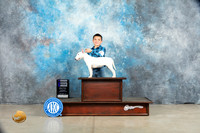 Miniature Bull Terrier #10 WB Judge Jon Cole