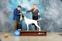 Pointer #12 Sat G3 Judge Charles Olvis