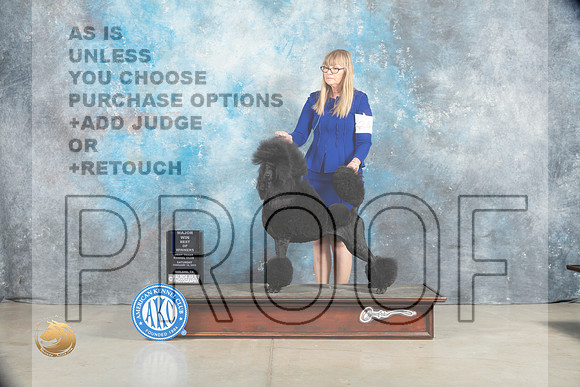 Poodle Std #24 Sat BOWMaj Judge Elizabeth Muthard_MJ_1828_Midland2023_HR3