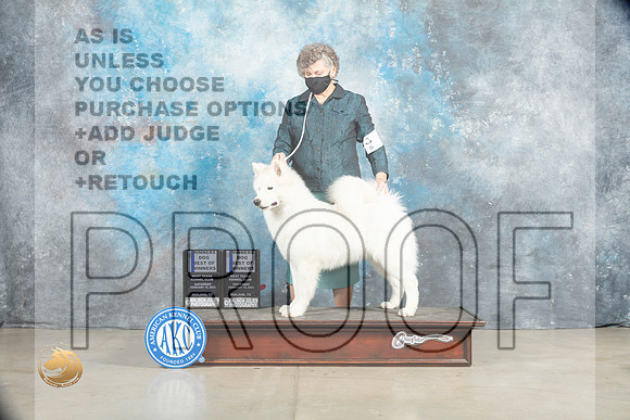 Samoyed #9 Thur Sat WDBOW Judge Elizardo Valadez Judge Elizabeth Muthard_MJ_1766_Midland2023_HR3