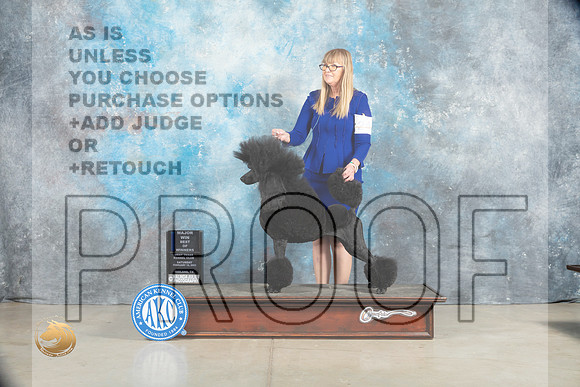 Poodle Std #24 Sat BOWMaj Judge Elizabeth Muthard_MJ_1830_Midland2023_HR3