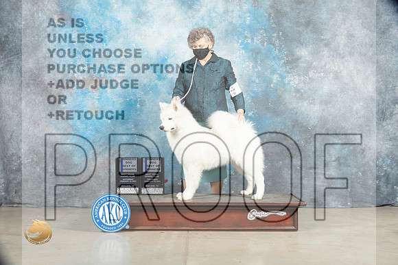 Samoyed #9 Thur Sat WDBOW Judge Elizardo Valadez Judge Elizabeth Muthard_MJ_1767_Midland2023_HR3