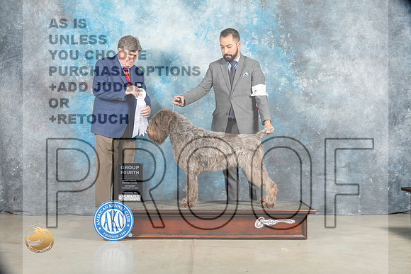 Wirehaired Pointing Griffon #9 Sat G4 Judge Charles Olvis_MJ_1858_Midland2023_HR3