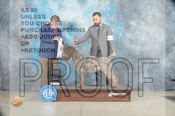 Wirehaired Pointing Griffon #9 Sat G4 Judge Charles Olvis_MJ_1860_Midland2023_HR3
