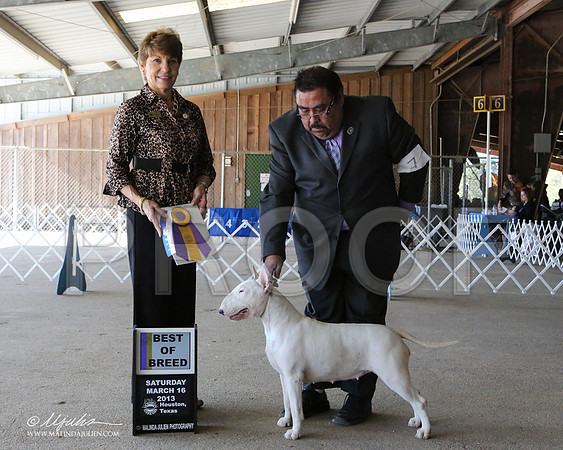 AmStaff-7080-LR