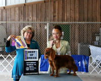 Cavalier King Charles Spaniel #5 Sat Megan Tucker Crist Agent Aslynn Rose Judge J Allen LR Houston Mar 2013