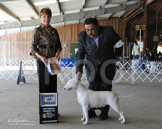 AmStaff-7083-LR