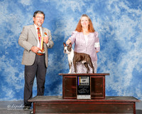 Boston Terrier #15 Sun BOB Kinnaird Stacie Dawn Mancine Fred Villaume Sharon Judge Elizardo Valadez