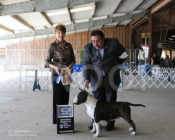 AmStaff-7044-LR