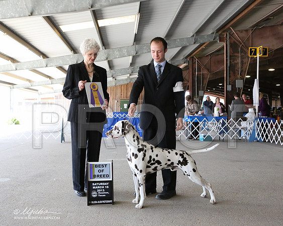 Dal-7130-LR