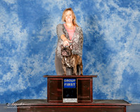 French Bulldog #?? Sun Paige McCarver Amarillo RESHOOT