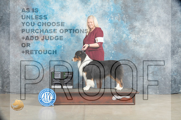 Australian Shepherd #11 Sat VBOB Olvis VG3 Sherry Patton_MJ_2123_Midland2023_HR3
