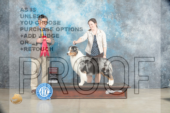 Australian Shepherd #17 Sat G2 Judge Elizardo Valadez_MJ_2066_Midland2023_HR3