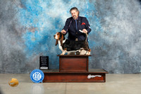 Basset Hound #5 Sat OHG2 Judge Charles Olvis