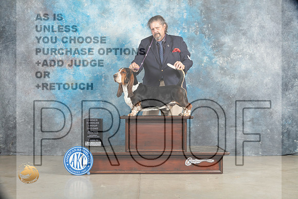 Basset Hound #5 Sat OHG2 Judge Charles Olvis_MJ_2002_Midland2023_HR3