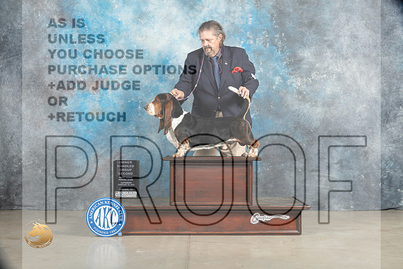 Basset Hound #5 Sat OHG2 Judge Charles Olvis_MJ_2006_Midland2023_HR3