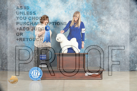 Bichon Frise #15 Sat G1 Judge Elizabeth Muthard_MJ_2098_Midland2023_HR3