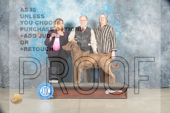 Chesapeake Bay Retriever #5 Sat OHG1 Judge Ellen W Schultz_MJ_1875_Midland2023_HR3