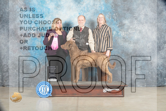 Chesapeake Bay Retriever #5 Sat OHG1 Judge Ellen W Schultz_MJ_1877_Midland2023_HR3